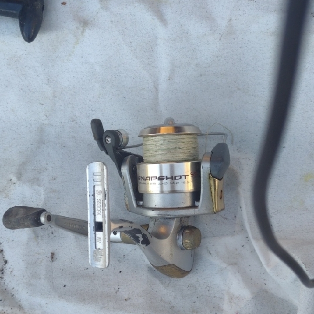 Quantum Snapshot 🎣 Reel